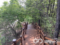용인시 기흥구,  총 188억원 투입 60여개 생활밀착형 사업 추진