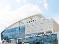 김포 최근 4년 보행 교통사고 사망자 14명