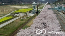 양산 황산공원, 전국구 핫플레이스 등극...경남대표 관광지로 자리매김