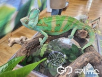 청주 남이초병설유치원, 동식물 친구들이 찾아왔어요