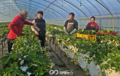 경주시, 1분기 외국인 계절근로자 156명 선발