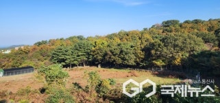 [단독] 제주 자연방목 사슴 허위 광고 논란…노년층 대상 녹용 판매 현장 포착