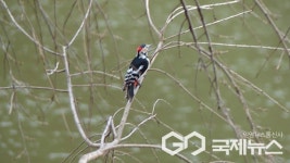 [포토뉴스] 시민들의 쉼터 진주 금호지, 생태환경공원으로 주목