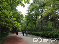 대구시, 두류공원에서 바쁜 일상 속 봄을 맞아 꽃구경과 산책·운동·힐링 하세요!