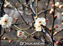 날씨, 서울·대구 18~22도 완연한 봄→주말기온 더 올라