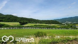 돌봄의 손길 기다리던 구조마 유니콘....마사회 품에 안기다
