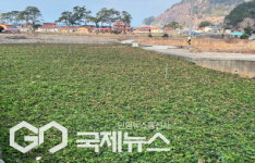 전남도, 3월 친환경농산물에 여수 유기농 방풍