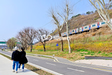 [국제포토] 개나리꽃 벗삼아 즐거운 나들이