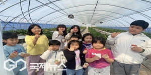 상운초, 봄맞이 딸기 수확 체험활동 실시