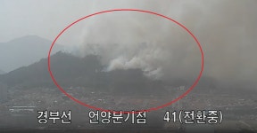[속보] 울주 산불 언양 송대리·상북 향산리·진해리 주민 대피령