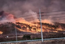 [속보] 경북 안동 산불 재발화...남안동IC~서안동IC 전면 차단