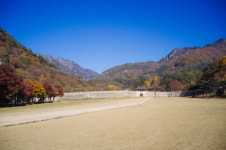 더 새롭게 찾아온 2025 문경찻사발축제
