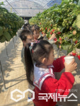 봉현초병설유치원, 딸기 따기 체험학습 실시
