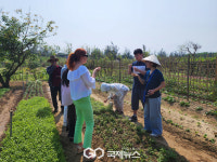 [로빈슨남호이안] 모히또 민트향의 정체는 이것