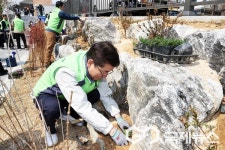 충북교육청, 3월 개교 학교에 꽃잔디·무궁화 식재
