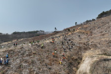 [포토]논산시, 푸르게 푸른 산야를 만들어요