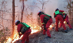 서변동 야산서 헬기 추락...대구 산불 피해는 확산 中