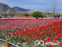 양산 황산공원, 물금비전 본격적인 계기 마련