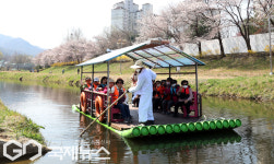 도심 속 벚꽃길 따라 뗏목체험