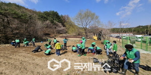 영주시새마을, 영주호오토캠핑장에 엘더베리 1,000주 식재
