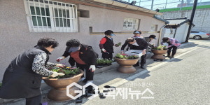 영주시노인복지관, 꽃 식재 활동 통해 마을 환경 개선 및 주차 문제 해결