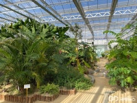 성주로 떠나는 4월, 참외·가야문화 함께 즐겨요