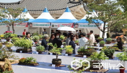 의령군, 홍의장군축제 기간 전국 분경야생화 작품전시회