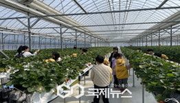 도촌초, 영주유치원 연계 유‧초 이음교육 실시!