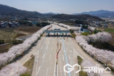 한국도로공사 충북본부, 상주톨게이트에 벚꽃길 조성