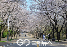 [국제포토] 봄의 뷰 가득한 인천대공원