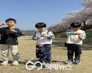 장수초병설유, 봄 맞이 벚꽃 체험학습 실시