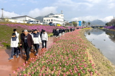 순창군, 양지천 꽃길 전국 소프트테니스 선수단 매우 감탄!