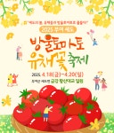 부여군, 유채꽃 보고! 방울토마토 먹고!  건강한 몸 만들고!