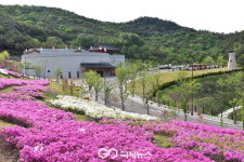경주 화랑마을, 2025 APEC 앞두고 스마트 플랫폼 구축 박차