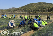 부산환경공단, 부산농협본부와 농번기 일손돕기 구슬땀