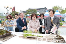 2025 의령 전국 분경야생화 작품전시회…통영 한규철씨 대상