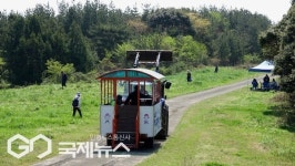 온 가족이 함께 고사리 꺾으멍 지꺼지게