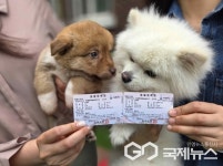 사천시, 5월부터 카드형 동물등록증 발급으로 편의성 제고