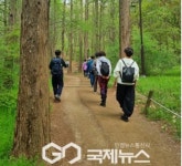 고양시 대화노인종합복지관, 숲길 걷기명상 프로그램 개최