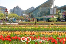 고양에 펼쳐진 꽃 세상...2025 고양국제꽃박람회 개막