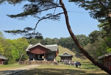 세계일보 조사위원, 구리 동구릉서 역사문화탐방 진행