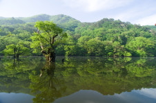 경북 청송 방문해 다양한 혜택 받자