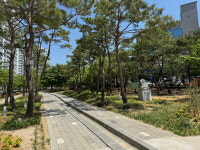 포항시 교통약자 배려한 무장애도시숲, 포항철길숲 우현지구에 조성