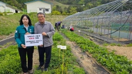 강원농업기술원 고원농업시험장,  철암동에 두메부추 모종 1만 주 지원