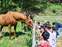 영동 구룡초등학교, 동네방네 감고을 탐방 실시