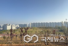 군산 기후대응도시숲 새들허브숲…도심 속 힐링 공간 탄생