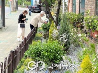 서대문구, 보건소 별관에 심리적 안정감 더하는 정원 조성