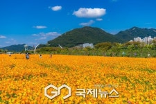 양산 방문의 해 황산공원·양산천변 야생화단지 조성