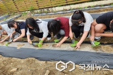 옥천 군남초등학교, 모종심기 체험활동 진행