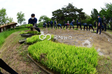 [국제포토] 대풍의 꿈을 심어요